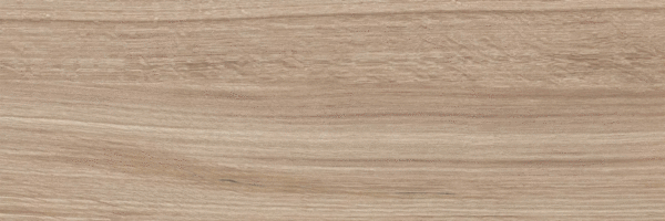 Beige PG 03 20х60 (600x200)