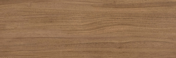 Brown PG 01 20х60 (600x200)