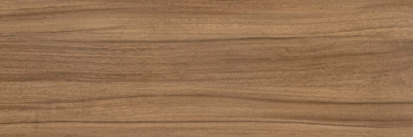 Brown PG 01 20х60 (600x200)