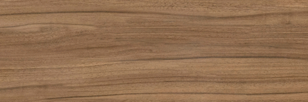 Brown PG 01 20х60 (600x200)