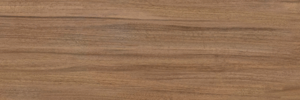 Brown PG 01 20х60 (600x200)