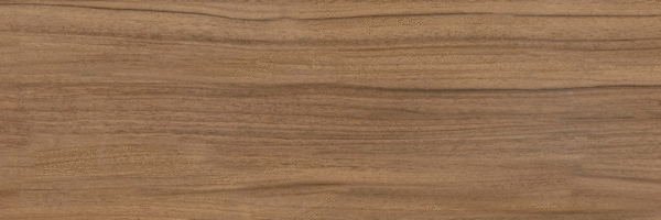 Brown PG 01 20х60 (600x200)