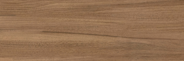 Brown PG 01 20х60 (600x200)