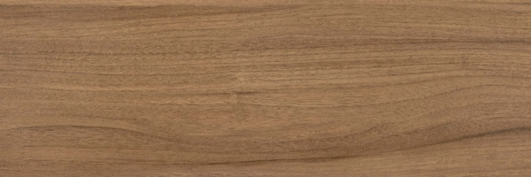 Brown PG 01 20х60 (600x200)