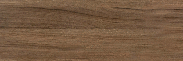 Brown PG 02 20х60 (600x200)