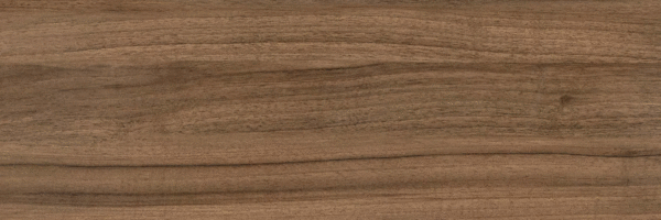 Brown PG 02 20х60 (600x200)
