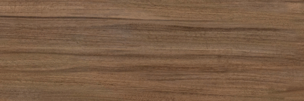 Brown PG 02 20х60 (600x200)