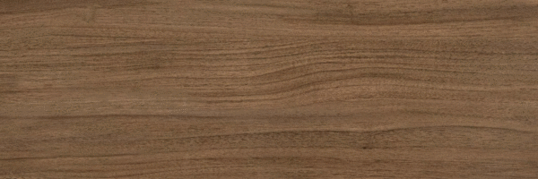 Brown PG 02 20х60 (600x200)