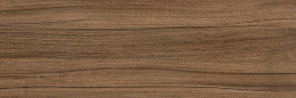 Brown PG 02 20х60 (600x200)