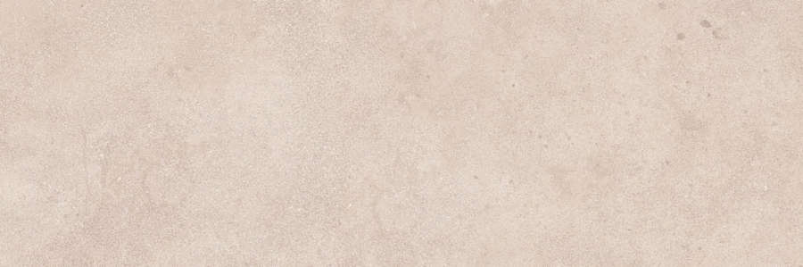 Beige Бежевая 01 (900x300)