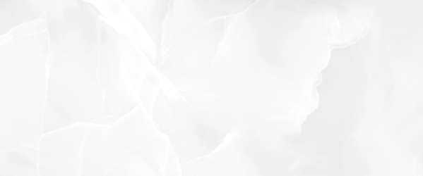 White Wall 01 (600x250)