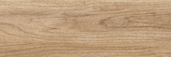 Beige PG 01 20х60 (600x200)