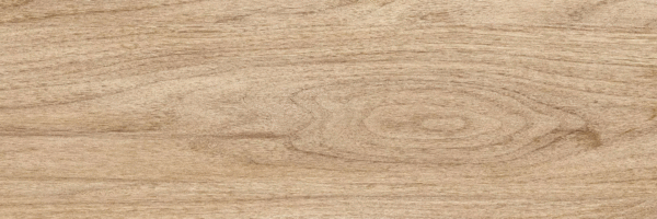 Beige PG 01 20х60 (600x200)