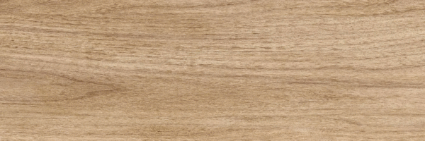 Beige PG 01 20х60 (600x200)