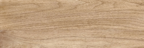 Beige PG 01 20х60 (600x200)