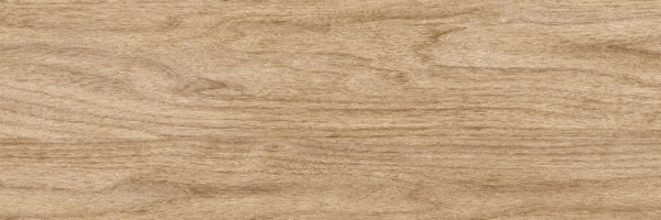 Beige PG 01 20х60 (600x200)