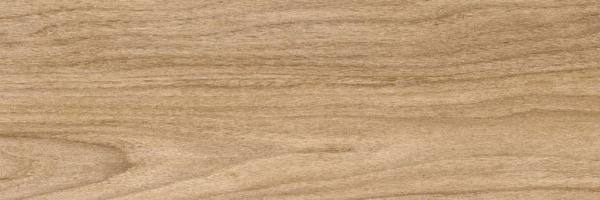 Beige PG 01 20х60 (600x200)