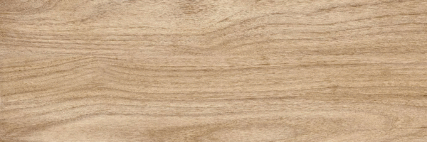 Beige PG 01 20х60 (600x200)