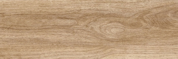 Beige PG 01 20х60 (600x200)