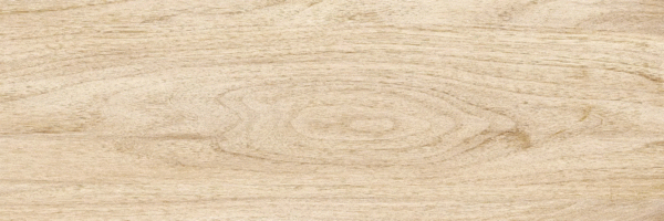 Beige PG 02 20х60 (600x200)