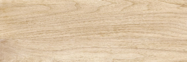Beige PG 02 20х60 (600x200)