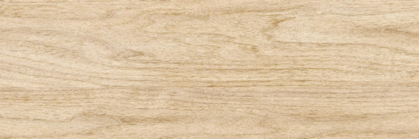 Beige PG 02 20х60 (600x200)