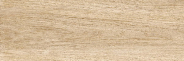 Beige PG 02 20х60 (600x200)