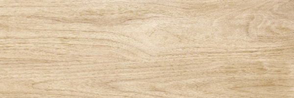 Beige PG 02 20х60 (600x200)