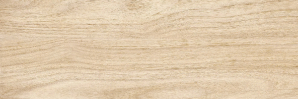Beige PG 02 20х60 (600x200)