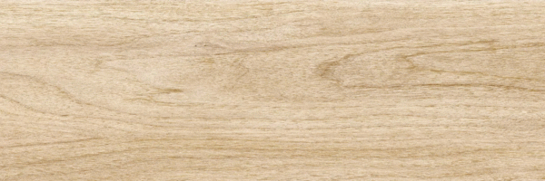 Beige PG 02 20х60 (600x200)