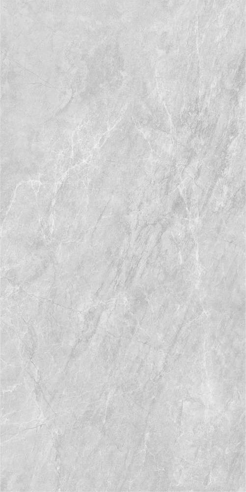 Grey Серый PG 01 60х120 (600x1200)