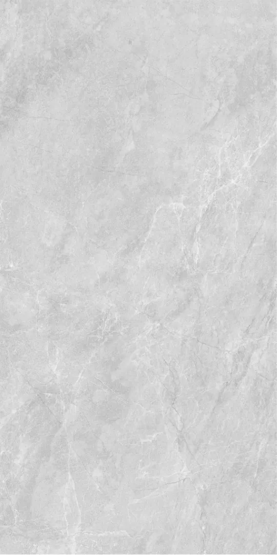 Grey Серый PG 11 60х120 (600x1200)