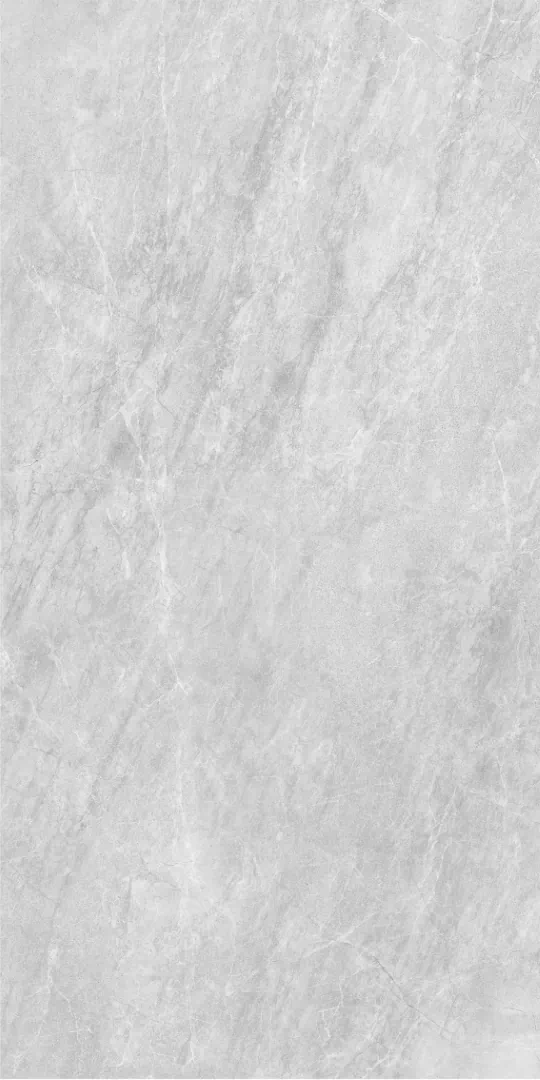 Grey Серый PG 11 60х120 (600x1200)