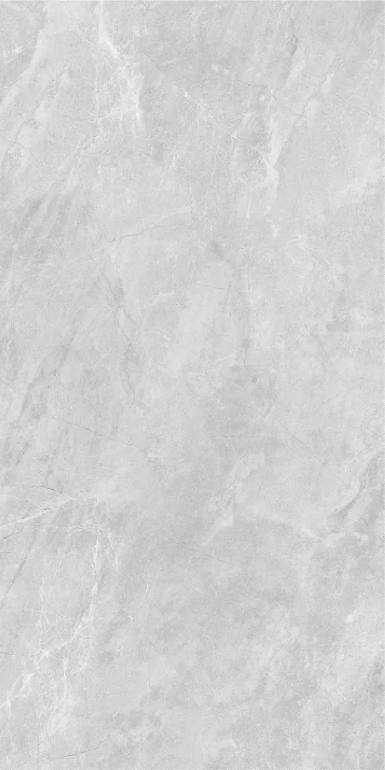 Grey Серый PG 11 60х120 (600x1200)