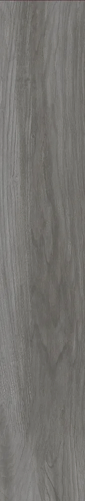 Black Poplar 20x120 (200x1200)