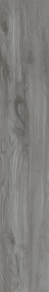 Black Poplar 20x120 (200x1200)
