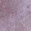 Aubergine 10x10x0.85 (100x100)