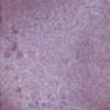 Aubergine 10x10x0.85 (100x100)