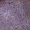 Aubergine 10x10x0.85 (100x100)