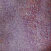 Aubergine 10x10x0.85 (100x100)