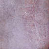 Aubergine 10x10x0.85 (100x100)