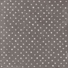 Chocolate Spot LT 22.3x22.3 (223x223)