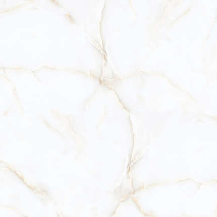 Италика Passion White Onyx Polished 120x120 28