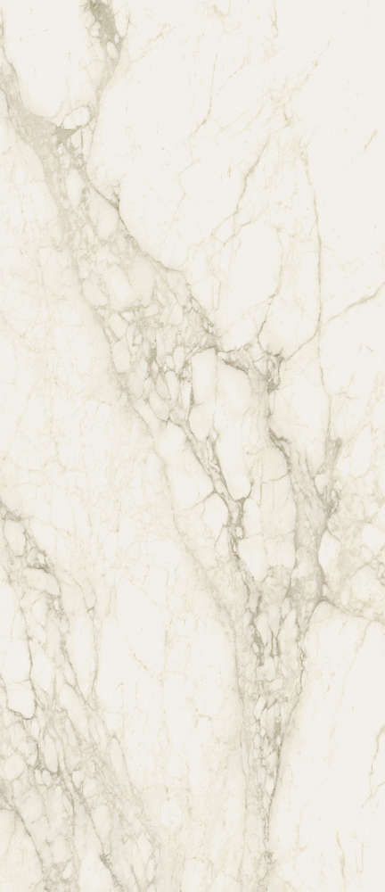 Carrara 120x278 Натуральный и Реттифицированный (1200x2780)