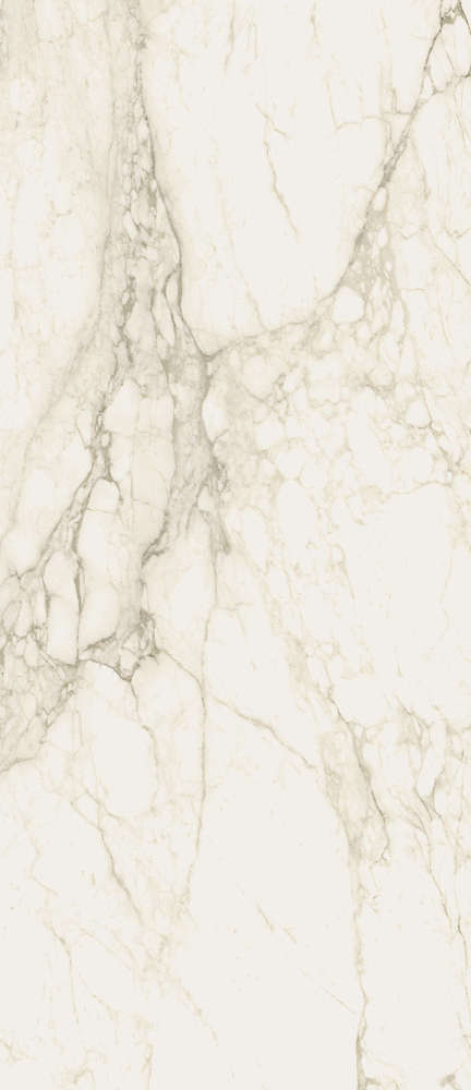 Carrara 120x278 Натуральный и Реттифицированный (1200x2780)