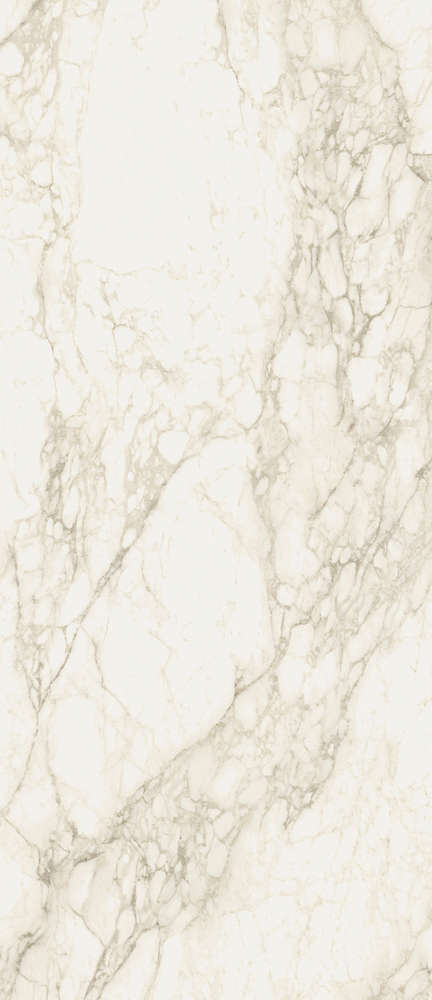 Carrara 120x278 Натуральный и Реттифицированный (1200x2780)