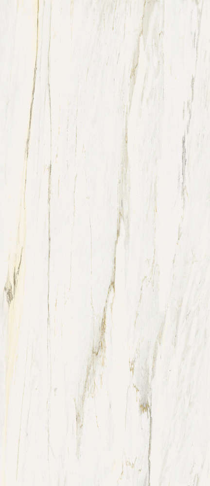 Carrara Ivory 120x278 Lux (1200x2780)