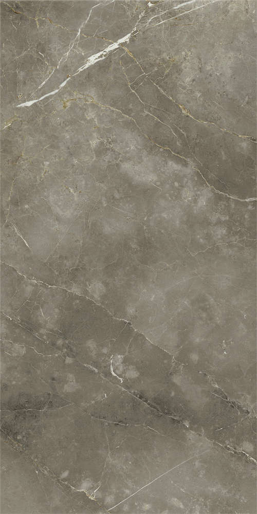 Tuscania Grey 80x160 Ret (800x1600)