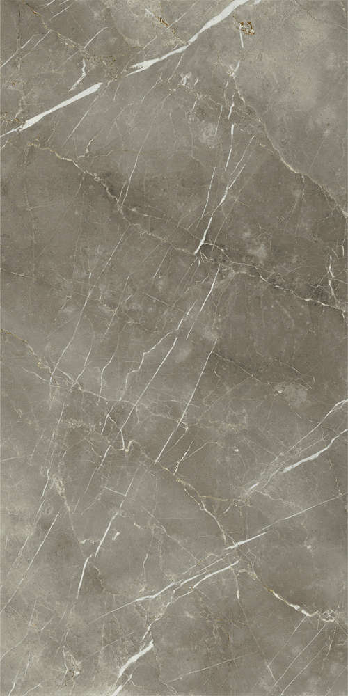 Tuscania Grey 80x160 Ret (800x1600)