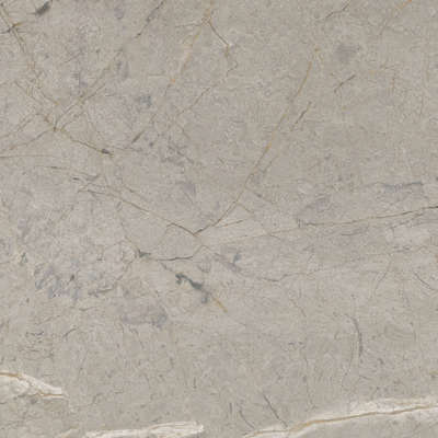 Silver Grey Lappato 120x120 (1200x1200)